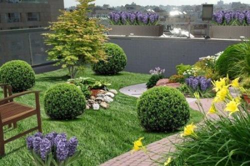 Необычный сад на крыше. 05