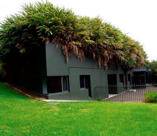 Необычный сад на крыше. 07