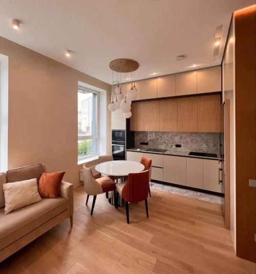 Кухня - гостиная сразу же после ремонта. 01