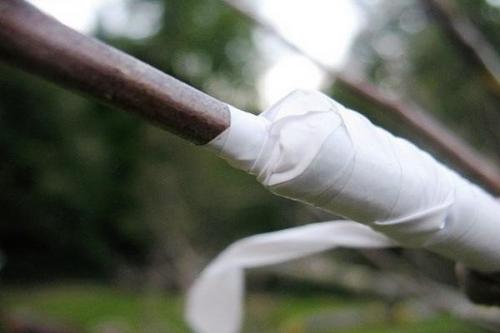 Прививка в расщеп - все, о чем надо знать садоводу. 04