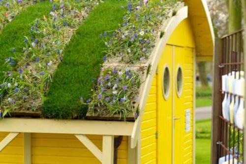 Необычный сад на крыше. 04