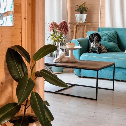 Живя в комнате общежития мечтала о своем доме и вот он наконец - то. 05