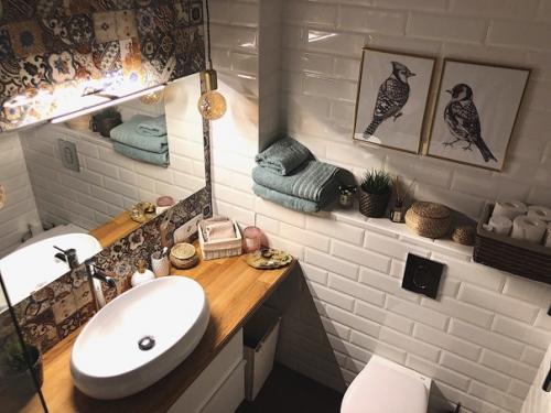 Совмещенный санузел.  Весь дизайн продумали сами. 02