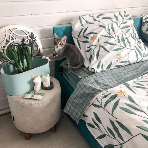 Живя в комнате общежития мечтала о своем доме и вот он наконец - то. 02