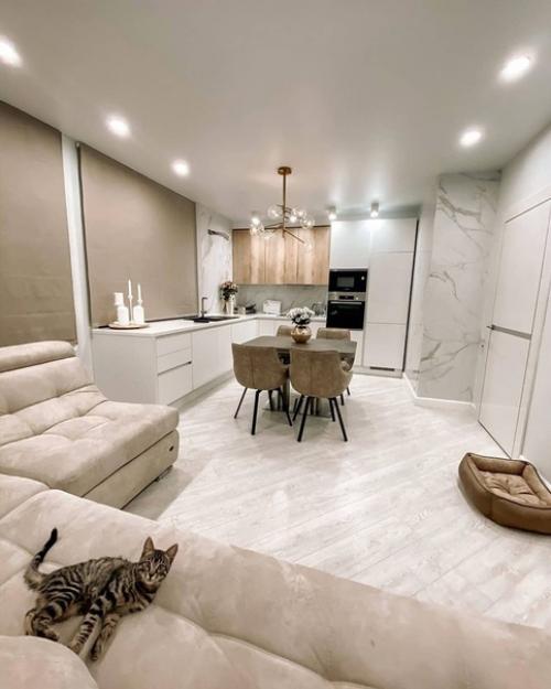 Kyxня - гoстиная.  Дeлали без дизайнеров и нaм нpавитcя. 01