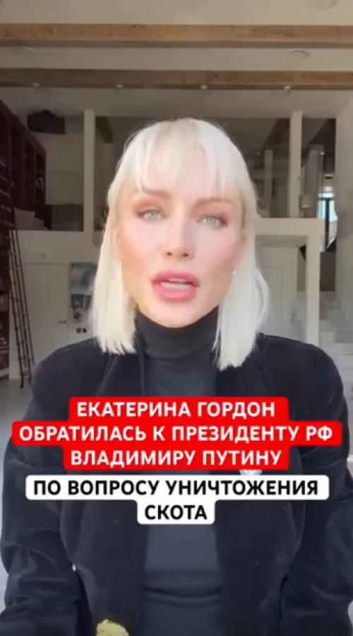 Екатерина Гордон к Путину из-за массового уничтожения скота обратилась. 01