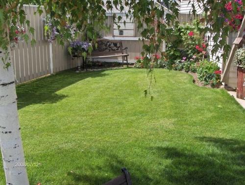 Мощёный дворик своими руками. 01