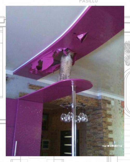 У нас в квартире евроремонт. 03