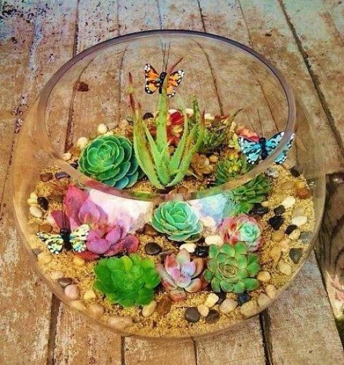 Флорариум: мы оформляем мини - сад своими руками. 01 Флорариум: мы оформляем мини - сад своими руками. 01