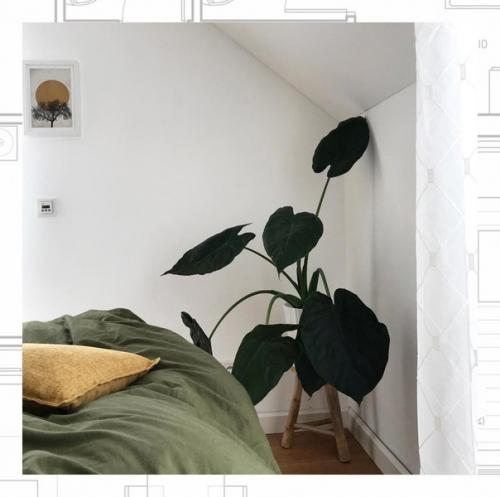 Как вы к зеленому цвету относитесь? 02