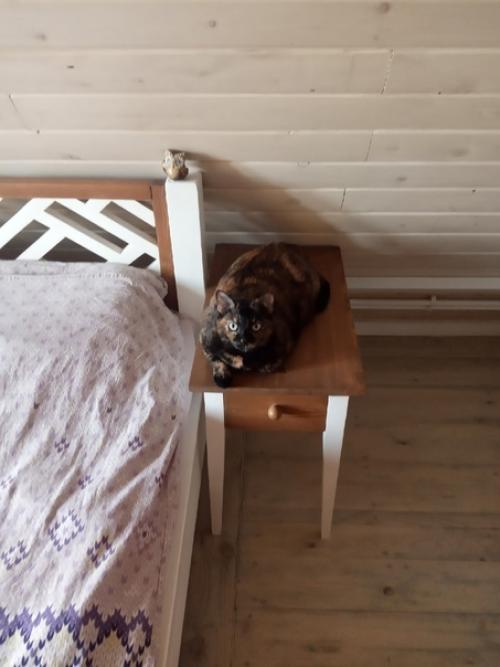 Дратуте, творцы. Я похвастаться, очередным новоделом. 03