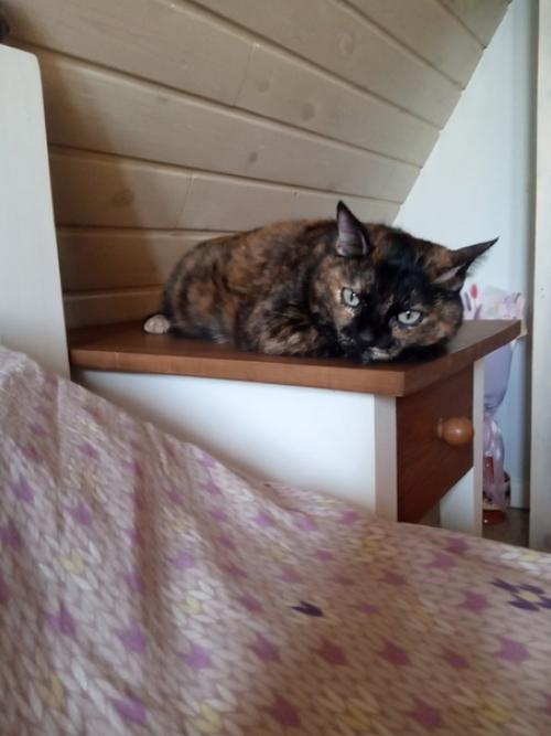 Дратуте, творцы. Я похвастаться, очередным новоделом. 02