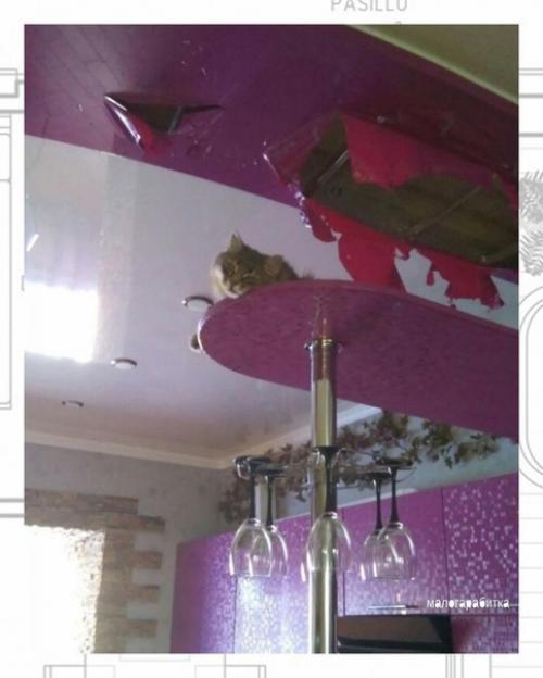 У нас в квартире евроремонт. 04