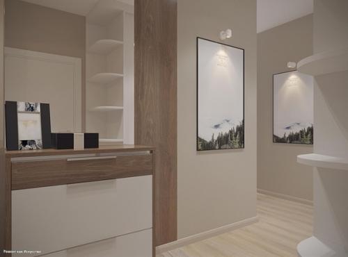 Проект однушки 43 кв. 05