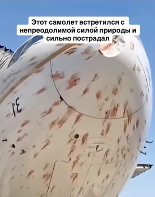 Самолёт кажется повреждённым, словно по нему бросали камни, но на самом деле это последствия столкновений с птицами. 01