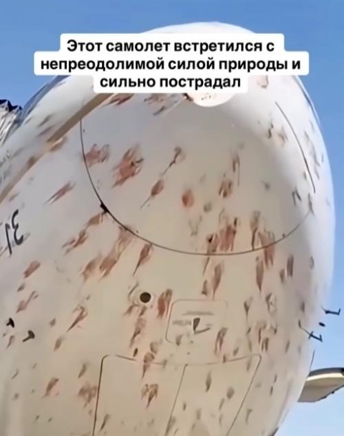 Самолёт кажется повреждённым, словно по нему бросали камни, но на самом деле это последствия столкновений с птицами. 02
