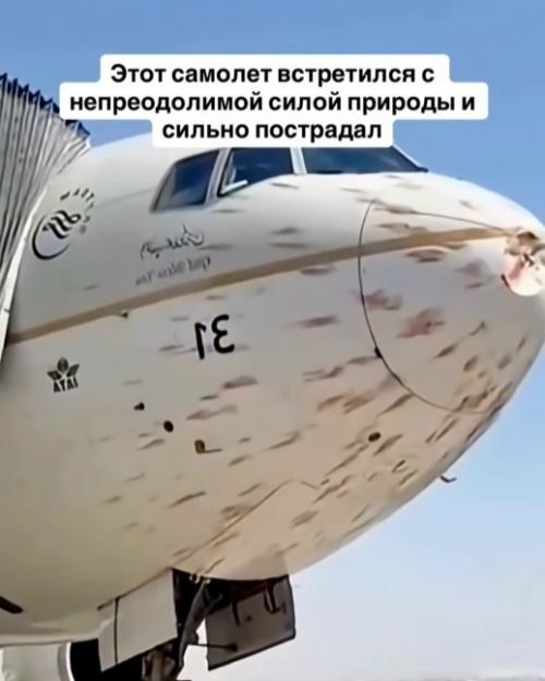 Самолёт кажется повреждённым, словно по нему бросали камни, но на самом деле это последствия столкновений с птицами.  