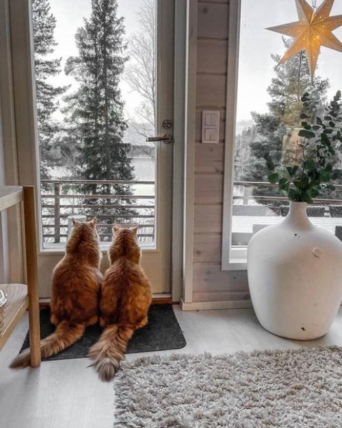 Финский коттедж.  Светлые тона дерева и природная легкость придают интерьеру максимальный уют и комфорт. 05