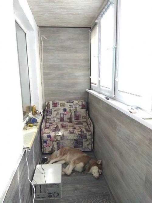 Решили с барбосом лоджию утеплить так он теперь оттуда не вылазит. 06