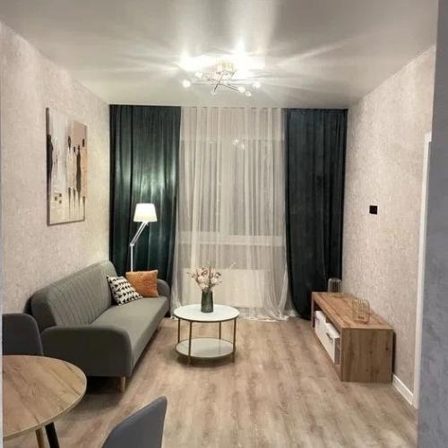 45 кв.  м для последующей аренды. 01