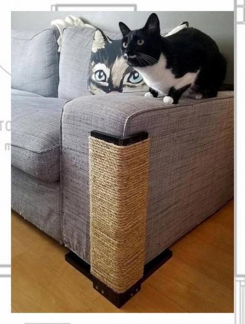 Как защитить мягкую мебель от острых коготков невоспитанного кота? 03