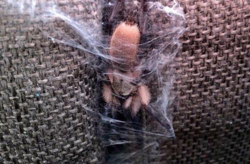 Последнее фото просто полный треш. 03