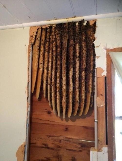 Последнее фото просто полный треш. 05