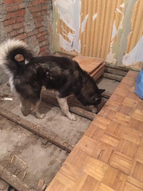 Спальня 12 кв м, своими руками первый опыт. 01