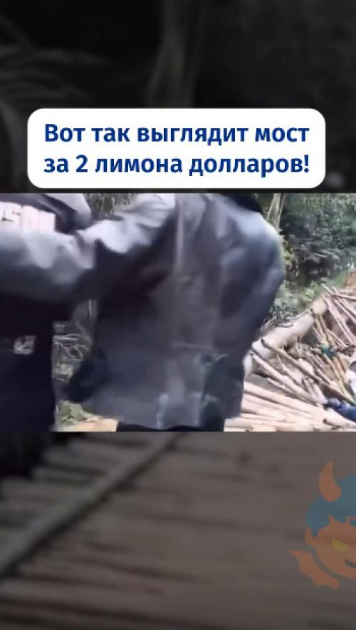 В конго построили деревянный пешеходный мост через реку за 2 миллиона долларов. 01