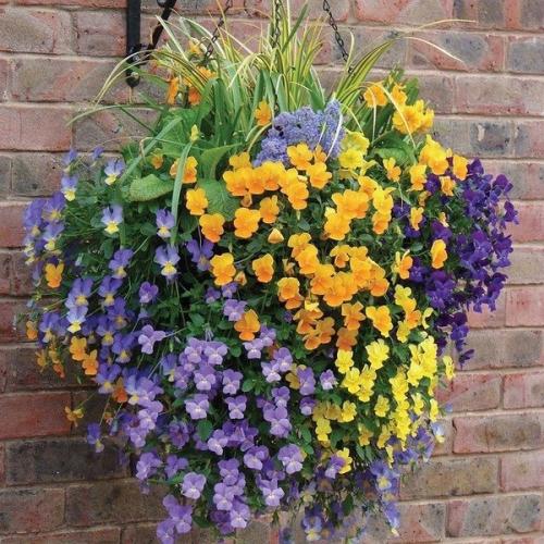 Составление оригинальных композиций своими руками принесет радость созидания и под силу каждому. 02