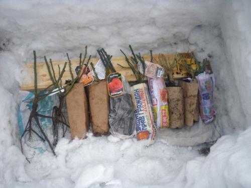 Хранение саженцев кустарников зимой. 04