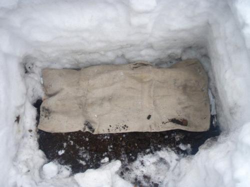 Хранение саженцев кустарников зимой. 03