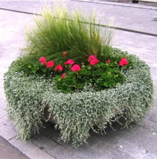 Составление оригинальных композиций своими руками принесет радость созидания и под силу каждому. 03