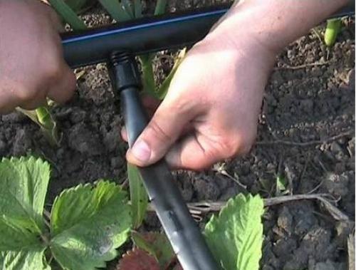 Принцип работы и преимущества системы капельного полива на даче. 01 Принцип работы и преимущества системы капельного полива на даче. 01