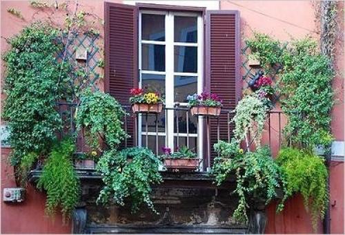 Озеленение балкона, лоджии, террасы. 03 Озеленение балкона, лоджии, террасы. 03