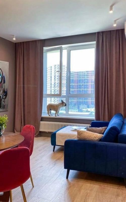 Насыщенный микс ярких цветов и эмоций в интерьере однокомнатной квартиры. 06