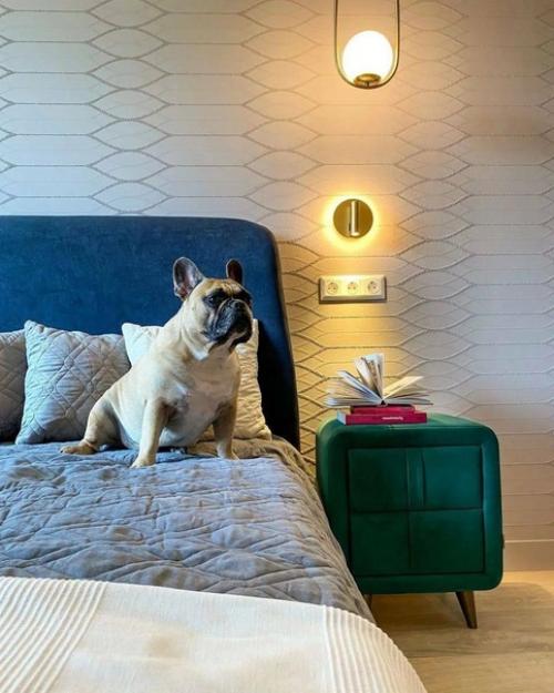 Насыщенный микс ярких цветов и эмоций в интерьере однокомнатной квартиры. 03