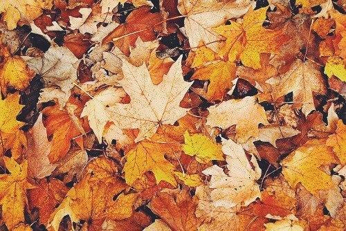 С добрым утром? 02