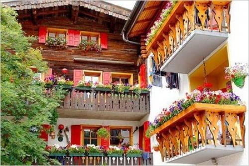 Озеленение балкона, лоджии, террасы. 02 Озеленение балкона, лоджии, террасы. 02