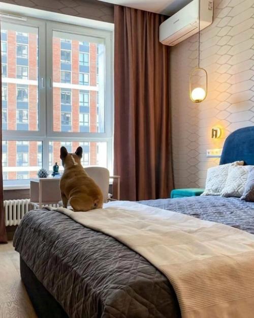 Насыщенный микс ярких цветов и эмоций в интерьере однокомнатной квартиры. 04