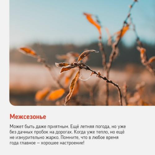 До зимы осталось всего семь дней! 04