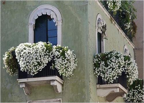 Озеленение балкона, лоджии, террасы. 08 Озеленение балкона, лоджии, террасы. 08