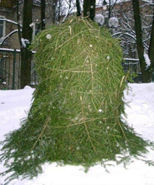 Защита деревьев от грызунов. 01