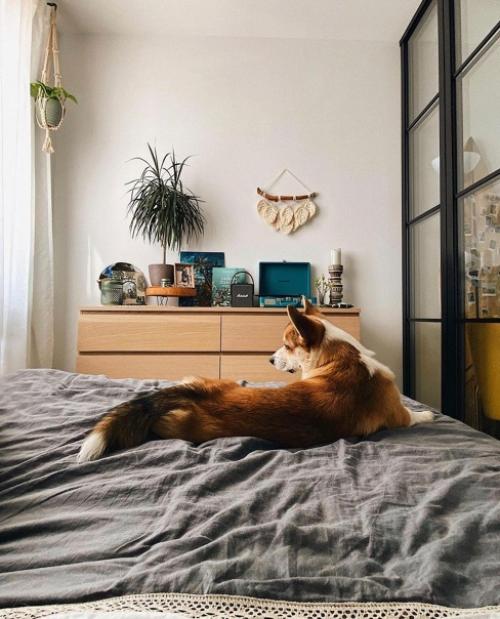 Из однушки получилась евродвушка. 02