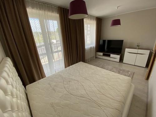 1 комната + кухня - студия. 04