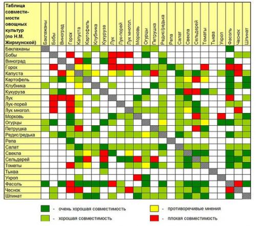Таблица чередования посевов овощей в огороде. 02
