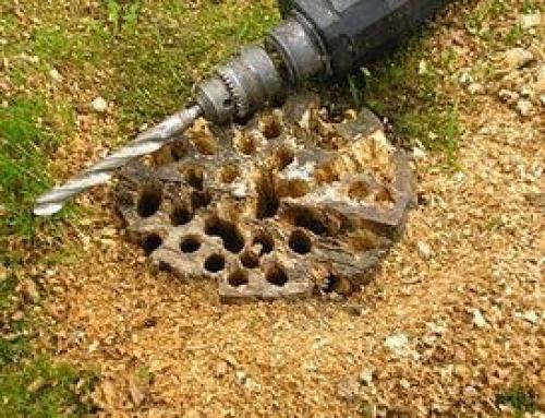 Как без усилий убрать пни с участка. 01 Как без усилий убрать пни с участка. 01