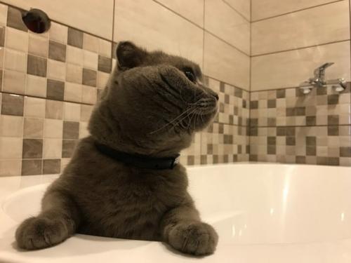 Ремонт ванной комнаты, все своими руками, в т. ч. и тумба под раковину - чашу. 08