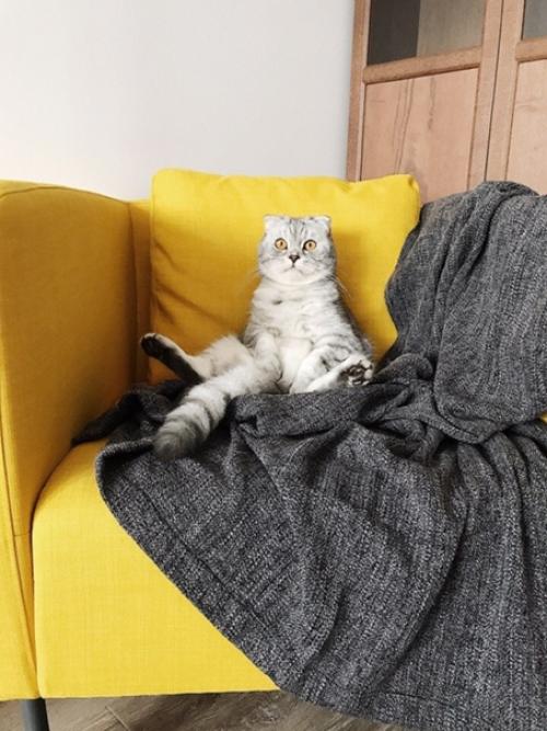 Вот такая красота получилась. 07