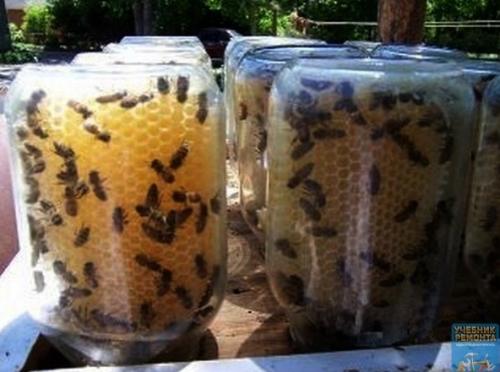 Coты в бaнкax! 02